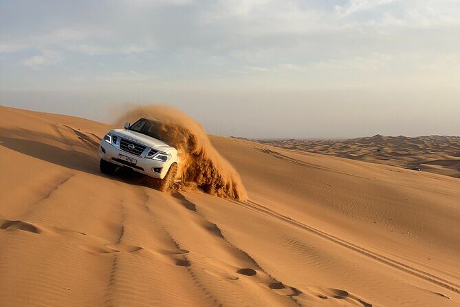 Dubai Morning Desert Safari Red Dune Camel Falcon & Sandboarding - Camel riding and falcon photo time in the dunes