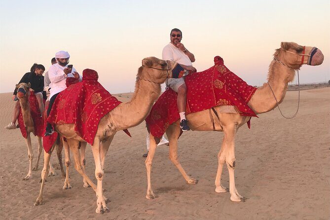 Dubai Morning Desert Safari Red Dune Camel Falcon & Sandboarding - Dune bashing over the big Red Dunes: expect thrills for about an hour