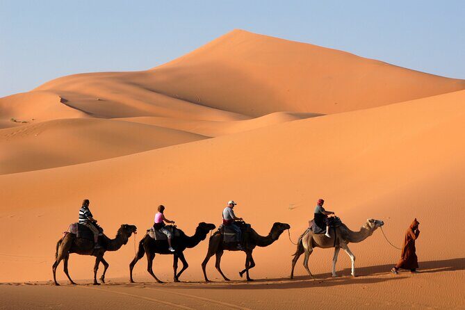 Dubai Morning Desert Safari with Quad Bike sharing Car - Key things to know before you head out