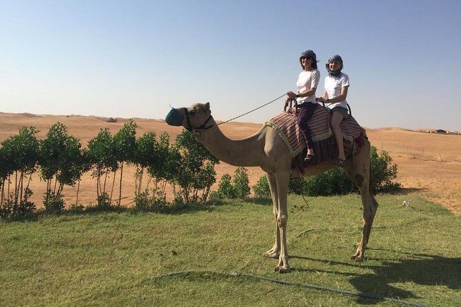 Dubai Morning Desert Safari with Sandboarding & Camel Ride - Camel farm stop and short ride: a cultural pause, not a full event