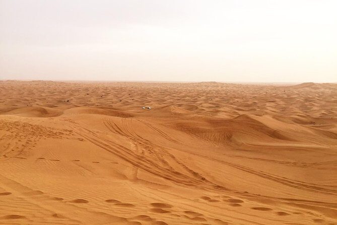 Dubai Morning Desert Small-Group Tour with Dune Bash - Key Points Worth Knowing