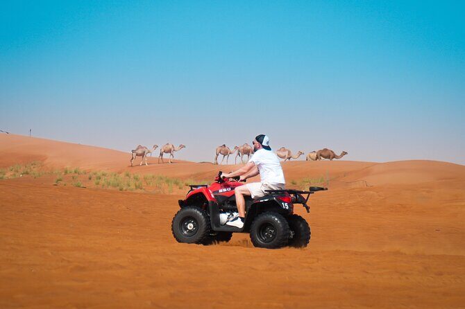 Dubai Morning Evening Desert Safari,Sand boarding and Camel ride - Getting to Lahbab: Air-Conditioned Pickup and a Short Desert Transfer