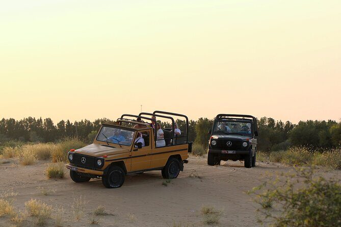 Dubai: Morning Heritage Safari by Vintage G Class & Al Marmoom Oasis - The vintage G-Class ride: comfort, photos, and how it feels