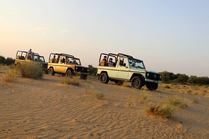 Dubai: Morning Heritage Safari by Vintage G Class & Al Marmoom Oasis - Falcon photo opportunity: short, clear, and structured
