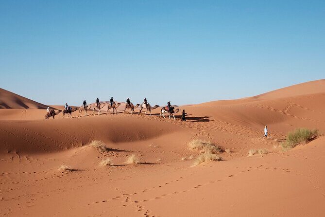 Dubai Morning Quad Bike, Sand Boarding and Camel Ride - Pickup and timing: making sure your morning starts smoothly