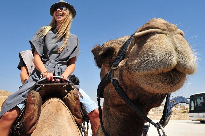 Dubai Morning Red Dunes with Camel Safari & Sandsurf - Camel Ride Timing: Calm After the Chaos