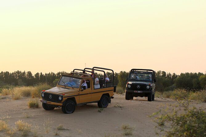 Dubai: Morning Safari by Vintage G Class & Al Marmoom Experience - Morning desert, but with a real conservation reserve