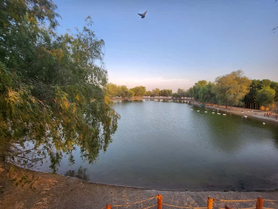 Dubai Nature Escape:Sunset Wildlife & Bird Watching in Oasis - From hotel pickup to desert calm: how the day starts