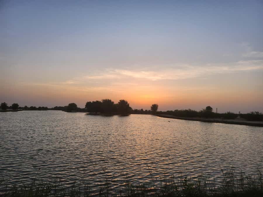 Dubai Nature Escape:Sunset Wildlife & Bird Watching in Oasis - Two lakes and bird watching at sunset: what you’re really paying for