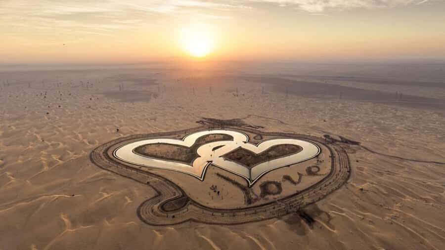 Dubai Nature Escape:Sunset Wildlife & Bird Watching in Oasis - Price and value: does $95 for 4 hours make sense?