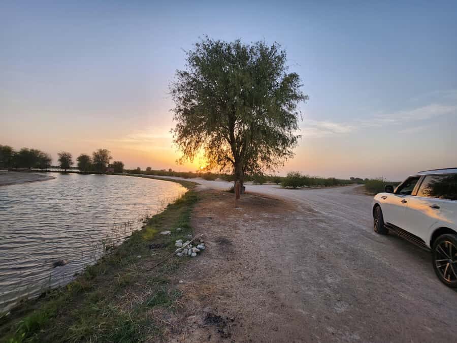 Dubai Nature Escape:Sunset Wildlife & Bird Watching in Oasis - The biggest risk: mismatched expectations around wildlife