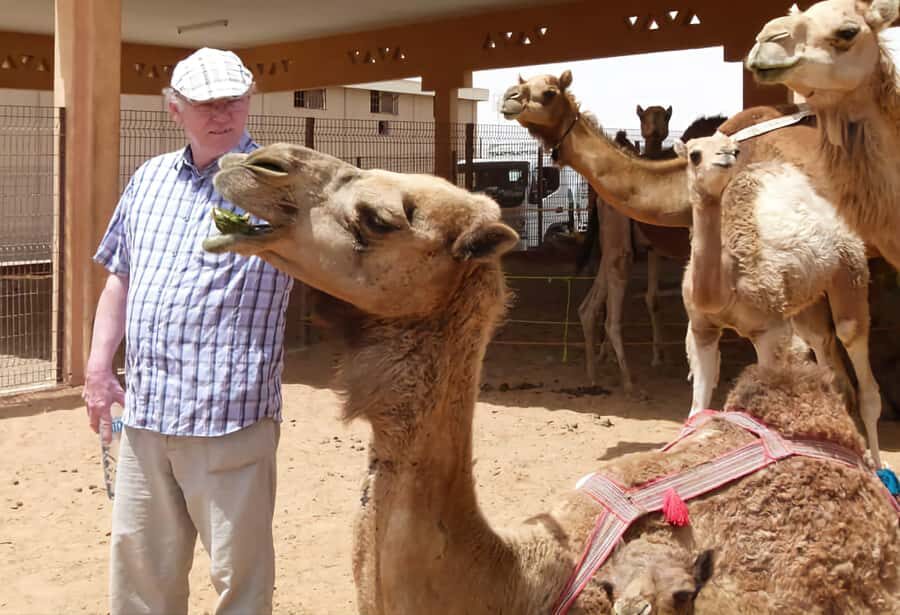Dubai: Old City Walking Tour with Abra Ride - Key highlights at a glance