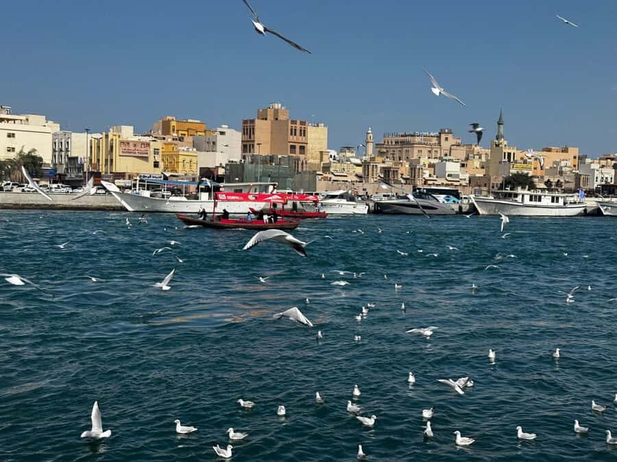 Dubai: Old Town Walking Tour with Abra Cruise & Street Food - Where the tour actually starts: Al Seef, Wokyo Noodle Bar