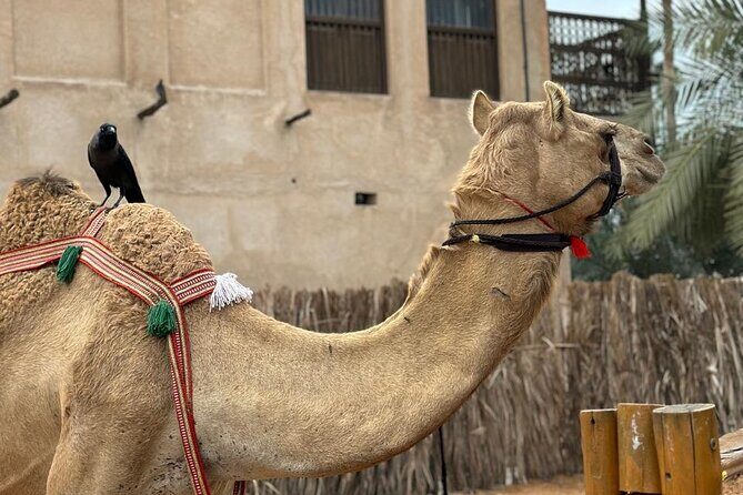 Dubai Old Town Walking Tour with Abra ride, Spice and Gold Souk - Spice Souk: follow your nose, then use the guide to shop smart