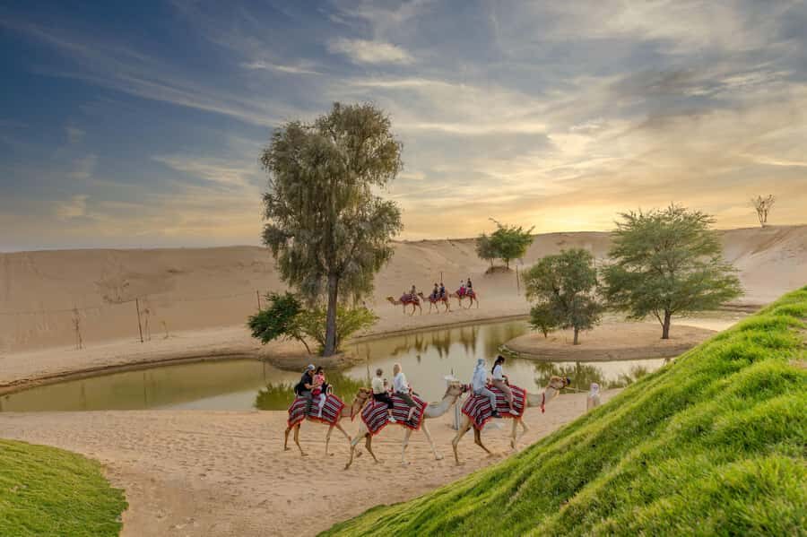 Dubai: Overnight Safari with Luxury Dome Stay & Stargazing - The dome stay: Luxury features you’ll actually use