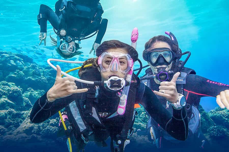 Dubai: PADI Basic Scuba Diving Course - PADI Basic Scuba in Dubai: Why This Format Makes Sense