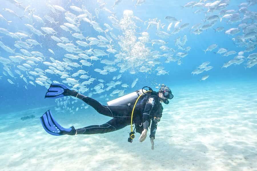 Dubai: PADI Basic Scuba Diving Course - Before Day One: e-Learning That Helps You Arrive Ready