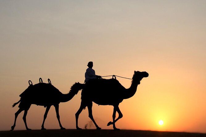 Dubai Premium Desert Safari: Dune Bashing,Camel Ride,Shows & BBQ - Hotel Pickup and Drop-Off: Comfortable Getting There Matters