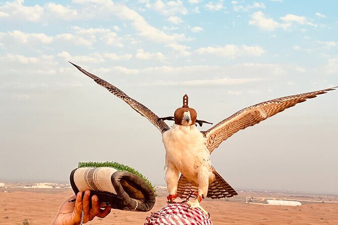 Dubai Premium Desert Safari Red Duns Camel sandbord & Premium BBQ - Buggy and ATV stop at Lahbab: optional fun, possible letdown