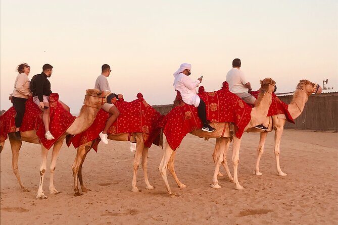 Dubai Premium Desert Safari Red Duns Camel sandbord & Premium BBQ - Lahbab dune bashing: the photo spots and timing you’ll feel