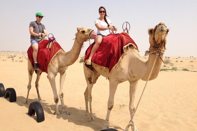 Dubai Premium Desert Safari with BBQ Dinner & VIP Camp Experience - Price and value: what your $79 really buys (and what doesn’t)