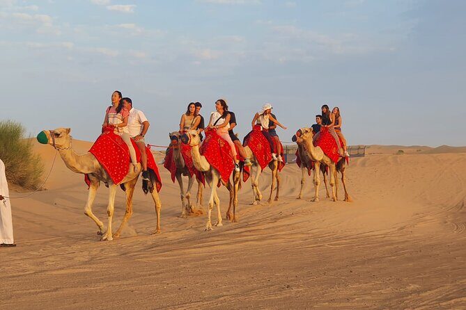 Dubai Premium Red Dunes Safari Camel Ride and BBQ Dinner - The live show lineup: belly dancing, Tanoura, fire show