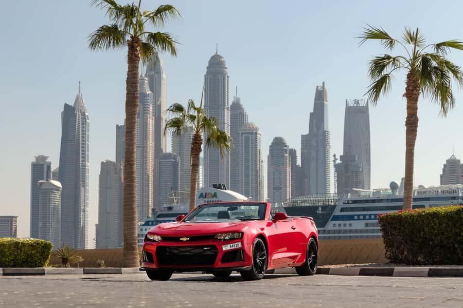 Dubai: Private City Sights Tour in a Cabriolet Convertible - Timing, comfort, and the small details that matter