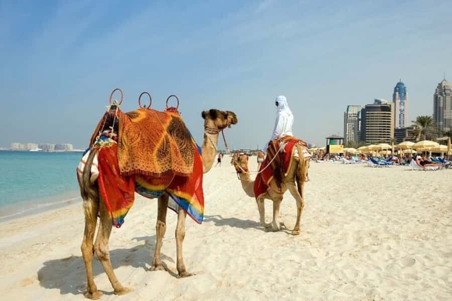 Dubai: Private custom tour with a local guide - Key Points You’ll Care About