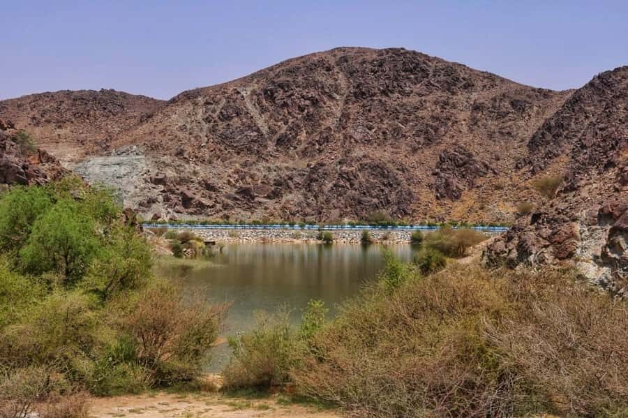 Dubai: Private Desert Day Tour and Wadi Shawka Pool Visit - Weather and Water Levels: Plan for Heat and Variable Pools
