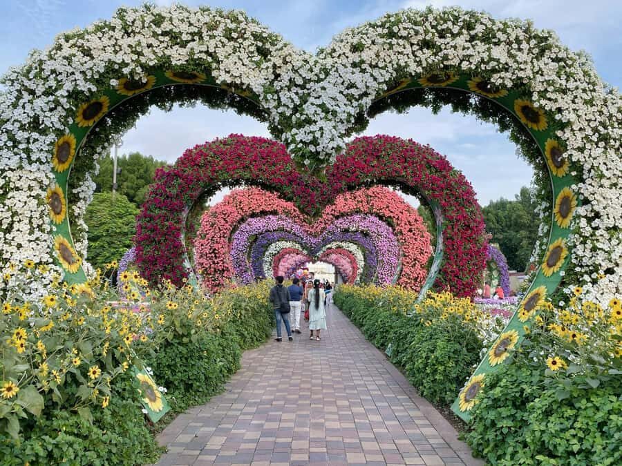 Dubai: Private Dubai Flora and Fauna Trip - Timing and Practical Tips to Keep This From Feeling Rushed