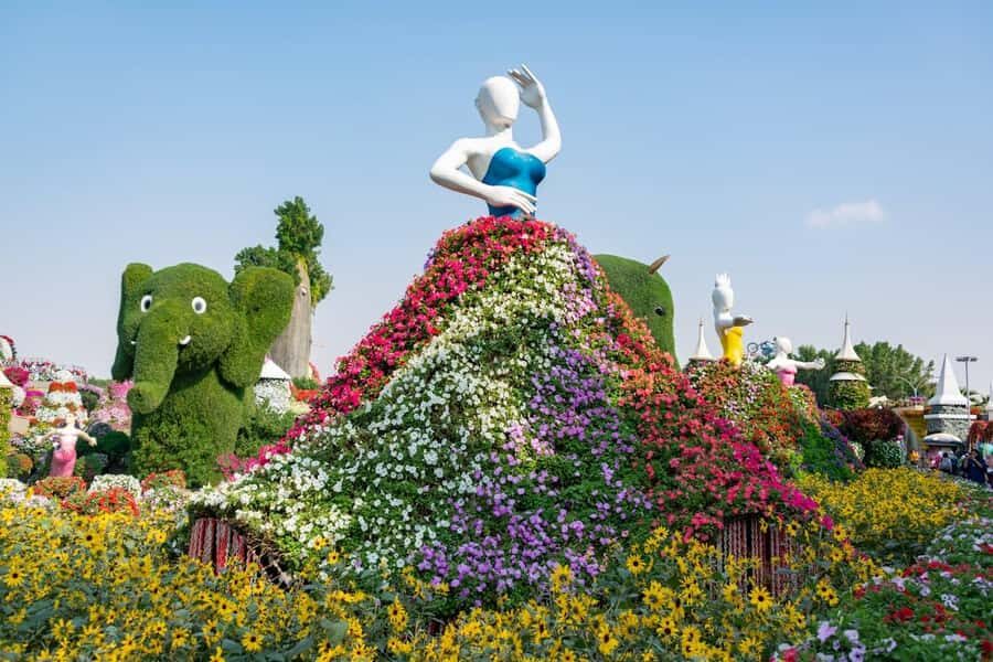 Dubai: Private Dubai Flora and Fauna Trip - Who Should Book This Private Dubai Flora and Fauna Trip?