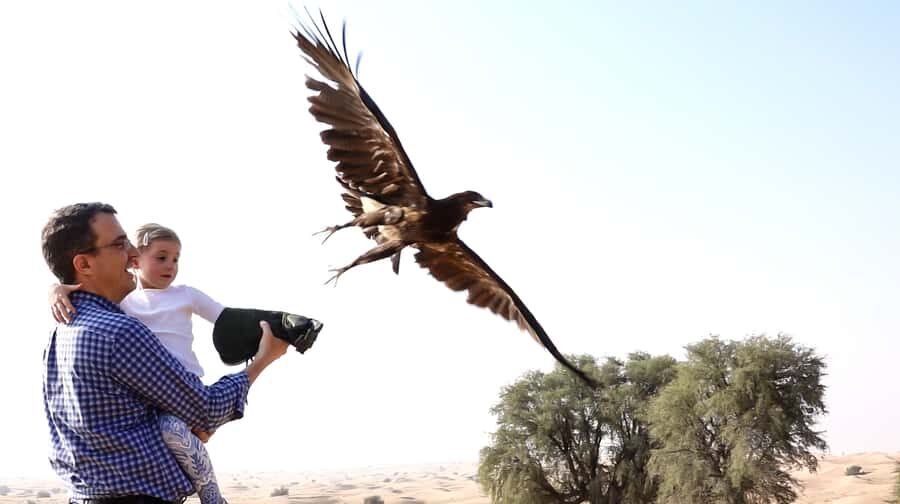 Dubai: Private Falconry Safari - Key Highlights You’ll Actually Feel