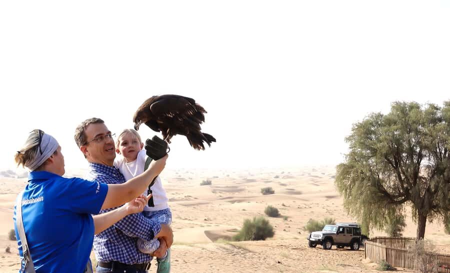 Dubai: Private Falconry Safari - From Training to Gloved-Fist Flight: Eagles, Hawks, and Owl