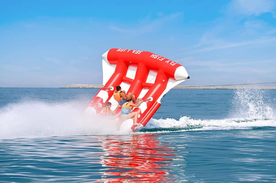 Dubai: Private Fly Fish Boat Ride - Quick hits before you go