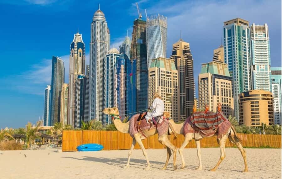 Dubai: Private Half-Day Sightseeing Tour - Dubai Frame: The Viewpoint That Helps You Understand the City