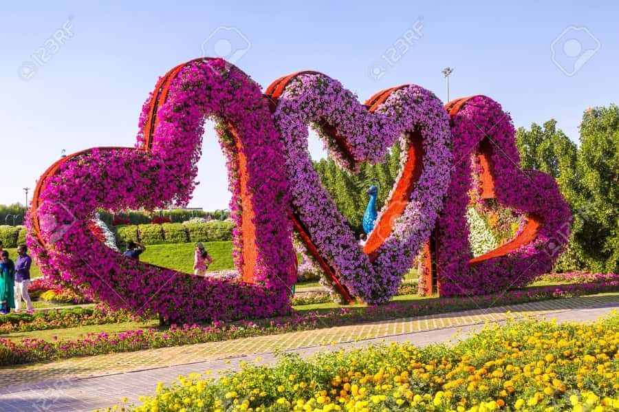 Dubai: Private Miracle Garden & Global Village Trip - Private pickup that saves your day (and your energy)