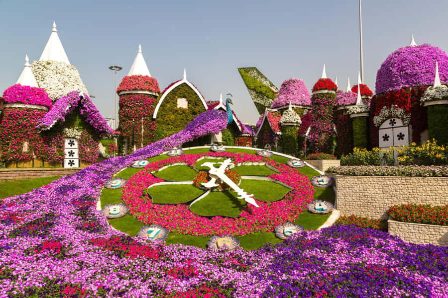 Dubai: Private Miracle Garden & Global Village Trip - What to bring and the rules you’ll notice fast