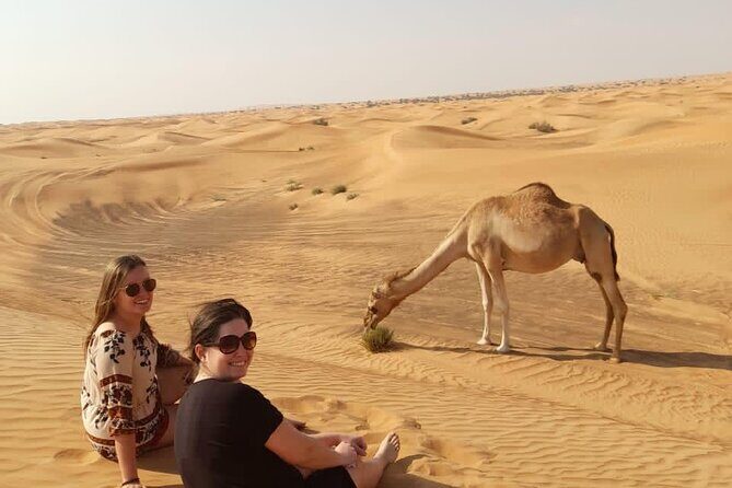 Dubai Private Morning Desert Safari: Camel Ride & Sandboarding - Camel ride: the calmer desert moment you’ll remember