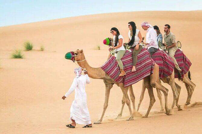 Dubai Private Morning Desert Safari Dune Bashing, Camel Ride, ATV - Camel Ride and Falcon Photography: Desert Calm After the Speed