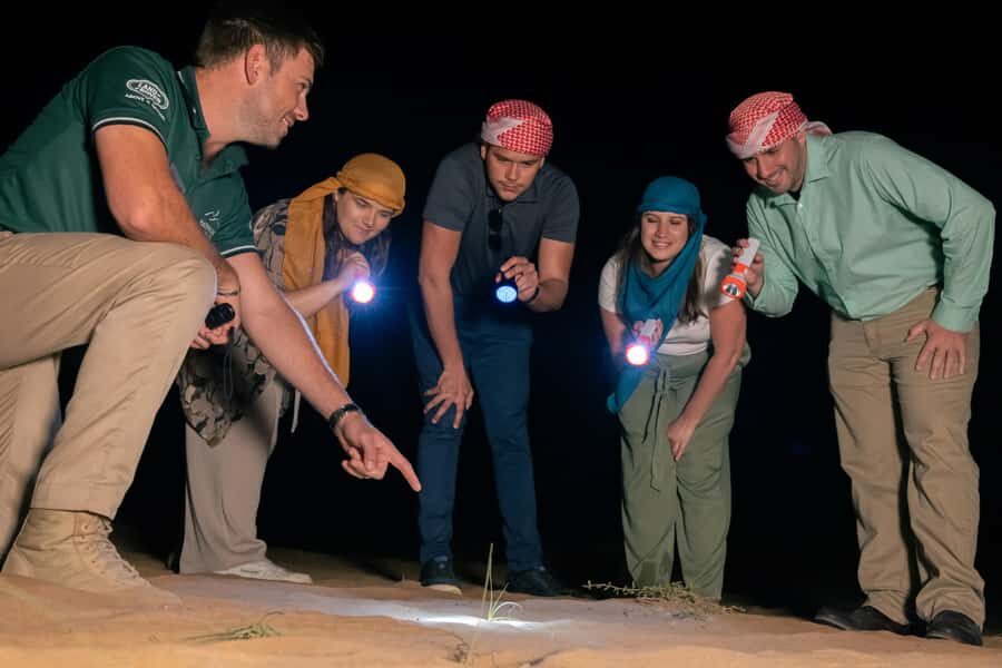 Dubai: Private Night Safari & Astronomy with 3-Course Dinner - Who This Safari Works Best For
