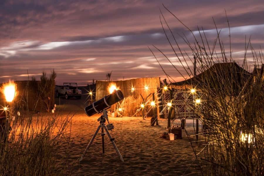 Dubai: Private Night Safari & Astronomy with 3-Course Dinner - The Eco-Walk and UV Dune Search: How Night Wildlife Actually Gets Found