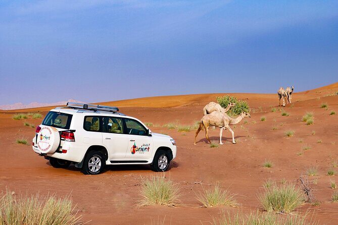 Dubai Private Premium Desert Safari with BBQ Dinner in 4WD - Sandboarding: fun for beginners, real work for your legs