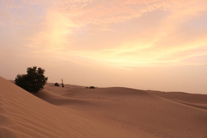 Dubai Private Sunset Desert Drive with Wildlife Experience - Arabian Oryx feeding station: wildlife viewing, with one key caveat