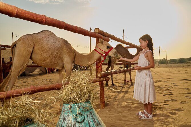 Dubai Private VIP Desert Dinner and Live Entertainment Show - The Show: Saïdi, Dabka, Belly Dance, and a Fire Moment