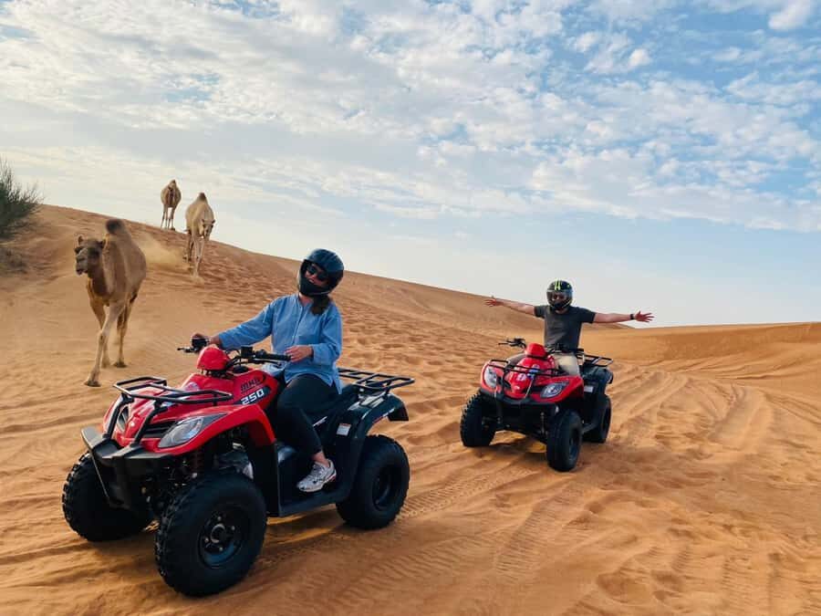 Dubai: Quad Bike Safari, Camels & Al Khayma Camp BBQ Dinner - Who should book this, and who should skip it