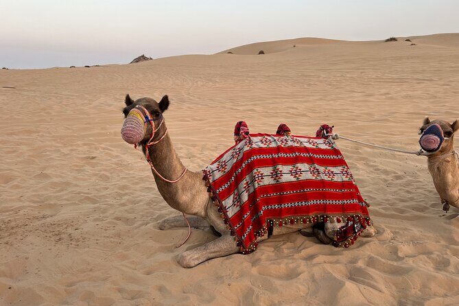 Dubai Red Desert Safari on Private 4x4, Sand Boarding, Camel 4hrs - The Mid-Desert Sandboarding Stop: Action Plus Peace