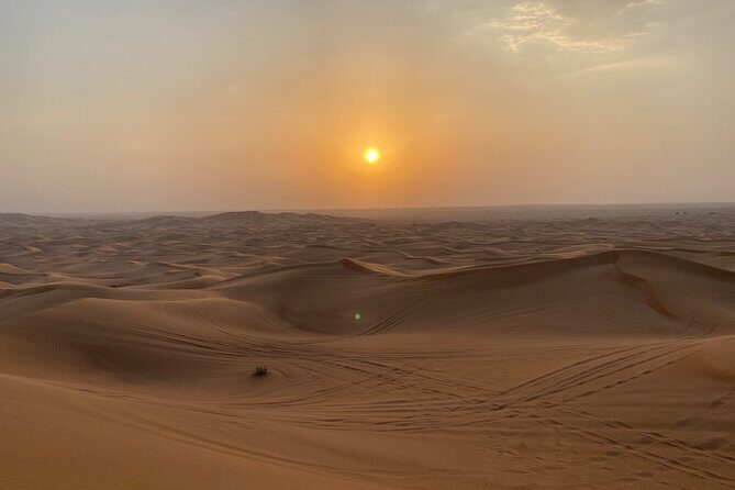 Dubai Red Desert Safari on Private 4x4, Sand Boarding, Camel 4hrs - Timing, Desert Weather, and Why Morning/Afternoon Can Feel Better
