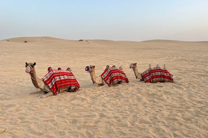 Dubai Red Desert Safari on Private 4x4, Sand Boarding, Camel 4hrs - Price and Value: What $214.63 Buys for Up to 7