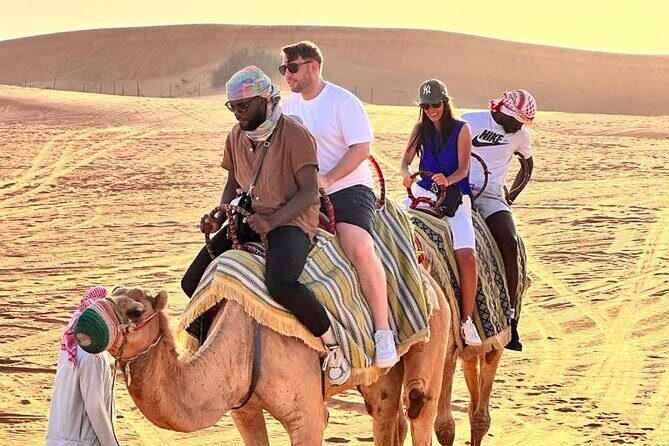 Dubai Red Desert Safari sharing basis with Camel, Shows & Dinner - 4x4 Dune Bashing: The Part You Will Feel in Your Bones