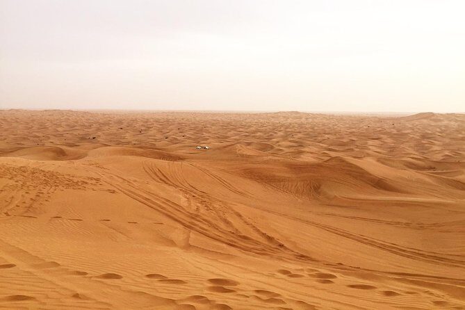 Dubai Red Dunes Desert Morning Adventure - Key Things I’d Pay Attention To